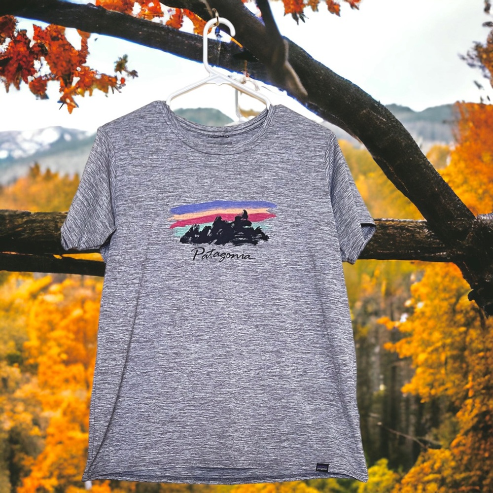 PATAGONIA Womens Short Sleeve Tee Shirt Bold Graphic Logo Gray Top Size L